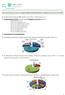 Tipo de Processo. Processo de Monitorização (PM) Processo de 4% Inquérito (PI) 19% Outro 2% Processo de Apoio à Gestão (PAG) 47%