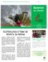AMAZÔNIA: NOVOS CAMINHOS PARA A IGREJA E PARA UMA ECOLOGIA INTEGRAL Edição nº 02