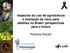 Impactos do uso de agrotóxicos e avaliação de risco para abelhas no Brasil: perspectivas para o futuro. Roberta Nocelli
