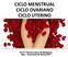 CICLO MENSTRUAL CICLO OVARIANO CICLO UTERINO. Prof.ª Patrícia Silva de Medeiros Ajes - Guarantã do Norte/MT