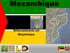 Reflorestamento em Moçambique