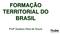 FORMAÇÃO TERRITORIAL DO BRASIL. Profº Gustavo Silva de Souza