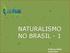NATURALISMO NO BRASIL - 1. Professora Maria Tereza Faria