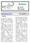 Boletim. Maio de 2005 Série: II Nº. 1 ISSN: Editorial