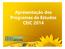Apresentação dos Programas de Estudos CEIC 2014
