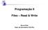 Programação II. Files Read & Write. Bruno Feijó Dept. de Informática, PUC-Rio