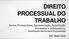 DIREITO PROCESSUAL DO TRABALHO Partes, Procuradores, Representação, Substituição Processual e Litisconsórcio Substituição das Partes e Procuradores