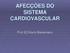 AFECÇÕES DO SISTEMA CARDIOVASCULAR. Prof EO Karin Bienemann