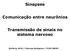 Sinapses. Comunicação entre neurônios. Transmissão de sinais no sistema nervoso