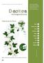 Descritores. morfoagronômicos. Descritores da Planta. Sinus. Botão floral. Fruto. Nectários. Ramo. Pecíolo. 6 2 Folha. Flor. Gavinha.