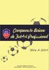 Com estádios que sediam jogos de 02 (dois) clubes; Para que os clássicos na Fase I De Classificação sejam realizados em uma mesma data (10/02/19);