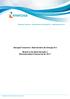 Energisa Tocantins Distribuidora de Energia S/A. Relatório da Administração e Demonstrações Financeiras de 2017