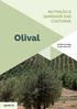 NUTRIÇÃO E SANIDADE DAS CULTURAS. Olival ANTÓNIO GUERRA ELDER LIMA LEITE