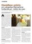 Clamidiose aviária em calopsitas (Nymphicus hollandicus) - relato de caso Avian chlamydiosis in cockatiels (Nymphicus hollandicus) - Case report
