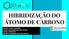 HIBRIDIZAÇÃO DO ÁTOMO DE CARBONO. MAIRA GAZZI MANFRO GISELI MENEGAT