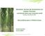 Workshop Serviços do Ecossistemas em Espaços Florestais contributos para uma economia verde Gouveia, 24 de Maio de 2012