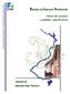 Estudo de Impacte Ambiental do Troço de Ligação Loureiro Monte Novo. Índice de Volumes