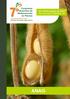 Adaptabilidade e Estabilidade de Híbridos de Milho em Ambientes de Trópico Alto e Trópico Baixo 1