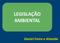 LEGISLAÇÃO AMBIENTAL. Daniel Freire e Almeida