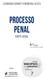 PROCESSO PENAL PARTE GERAL LEONARDO BARRETO MOREIRA ALVES. 9.ªedição revista, atualizada e ampliada SINOPSES. coleção.
