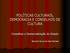 POLÍTICAS CULTURAIS, DEMOCRACIA E CONSELHOS DE CULTURA