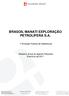 BRASOIL MANATI EXPLORAÇÃO PETROLÍFERA S.A. 1ª Emissão Pública de Debêntures