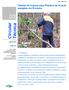 Tabelas de Volume para Plantios de Acacia mangium em Roraima