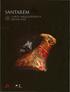 índice 13. ANEXO I DVD-ROM com as fichas de sítio da Carta Arqueológica do Concelho de Santarém SANTARÉM ~ CARTA ARQjJEOLOGICA MUNICIPAL ~.