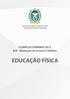 Governo do Estado do Rio de Janeiro Secretaria de Estado de Educação. CURRÍCULO MÍNIMO 2013 EJA - Educação de Jovens e Adultos EDUCAÇÃO FÍSICA