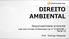 DIREITO AMBIENTAL. Responsabilidade ambiental. Leis dos Crimes Ambientais-Lei nº 9.605/98 Parte 10. Prof. Rodrigo Mesquita