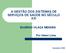 A GESTÃO DOS SISTEMAS DE SERVIÇOS DE SAÚDE NO SÉCULO XXI EUGÊNIO VILAÇA MENDES