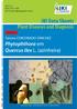 JKI Data Sheets. Plant Diseases and Diagnosis. Phytophthora em Quercus ilex L. (azinheira) Tamara CORCOBADO SÁNCHEZ