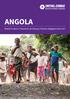 ANGOLA. Relatório sobre o Tratamento de Doenças Tropicais Negligenciadas Perfil de 2017 para o tratamento em massa das DTN