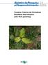 Cenários Futuros da Citricultura Brasileira determinados pelo HLB (greening)