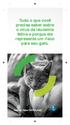 Tudo o que você precisa saber sobre o vírus da leucemia felina e porque ele representa um risco para seu gato.