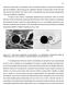 Figura Campo médio do módulo da velocidade para Re D =10 4 : (a) URANS, (b) DES e (c) LES.