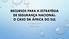 RECURSOS PARA A ESTRATÉGIA DE SEGURANÇA NACIONAL: O CASO DA ÁFRICA DO SUL 10 DE ABRIL DE 2019 PETER DANIELS