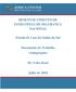 DESENVOLVIMENTO DE ESTRATÉGIA DE SEGURANÇA NACIONAL. Estudo de Caso do Sudão do Sul. Documento de Trabalho (Anteprojeto) Dr.