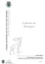 Caderno de Encargos CÂMARA MUNICIPAL DE VILA NOVA DE CERVEIRA DIVISÃO DE ADMINISTRAÇÂO GERAL CONTRATAÇÂO PUBLICA AJUSTE DIRECTO