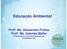 Educação Ambiental. Profª. Ms. Alessandra Freitas Profª. Ms. Gabriela Maffei Professoras do Curso de Pedagogia das Faculdades COC