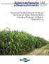 Desempenho de Cultivares de Sorgo Sacarino em Solos Hidromórficos visando a Produção de Etanol Safra 2011/12