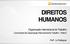 DIREITOS HUMANOS. Organização Internacional do Trabalho. Convenções da Organização Internacional do Trabalho Parte 2. Profª.