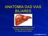 ANATOMIA DAS VIAS BILIARES