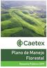 A Caetex tem como objetivos do seu Plano de Manejo Florestal:
