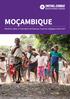 MOÇAMBIQUE. Relatório sobre o Tratamento de Doenças Tropicais Negligenciadas Perfil de 2017 para o tratamento em massa das DTN