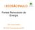 I ECOSÃO PAULO. Fontes Renováveis de Energia. Prof. Suani Coelho. São Paulo, 8 de novembro de 2007