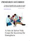 PRIMEIROS SOCORROS Na história da humanidade,desde a sua origem até os nossos dias,a segurança sempre foi o fator primordial do seu crédito