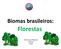Biomas brasileiros: Florestas