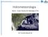 Hidrometeorologia. Hidrometeorologia. Aula 4 - Curso Técnico em Hidrologia (CTH) Prof. Fernando Mainardi Fan