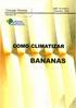 COMO CLIMATIZAR BANANAS